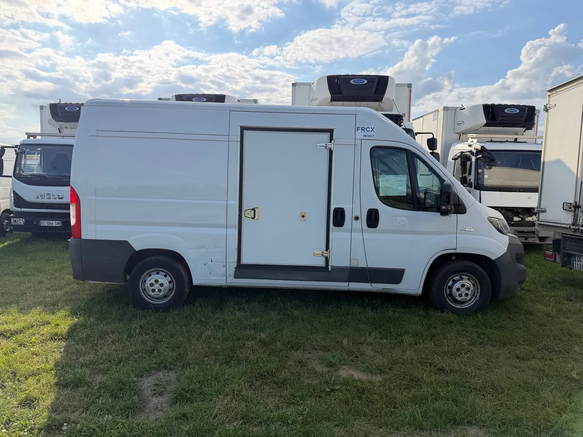 Білий фургон-рефрижератор Fiat Ducato з холодильною установкою над кабіною на трав’яному майданчику серед інших рефрижераторів